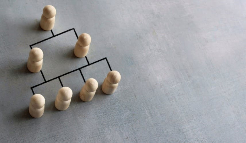 Team structure